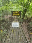 log-image-1784200342677-0