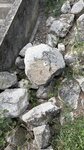 log-image-1783869806628-0