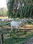 IMG_20260704_181427