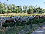 IMG_20260704_181517