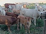 IMG_20260704_182301