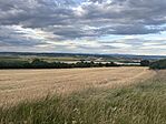 IMG_3555