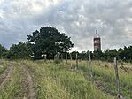 IMG_3556