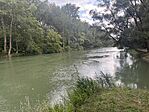 IMG_3778