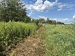 IMG_3744