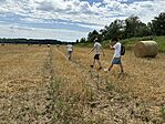 IMG_3745