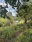 IMG_3750