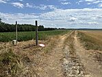 IMG_3755