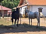 20260729_124617