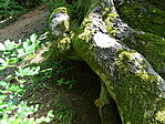 DSC01224