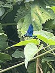 IMG_6380