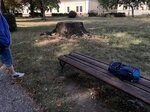 log-image-1783148489596-0
