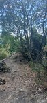 log-image-1783861758667-0
