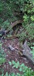 log-image-1783881630935-0