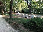 IMG_20260629_183122_186