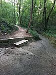 IMG_20260629_194630_124