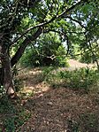 IMG_20260714_110227