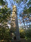 IMG_20260711_185946