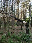 IMG_20260711_191626