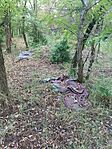 IMG_20260711_191522