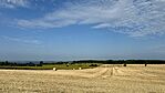 IMG_6705