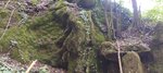 log-image-1785153457371-0