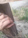 log-image-1782976093587-3