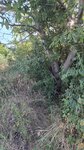 log-image-1783700157056-2