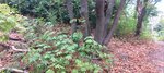 log-image-1783774152031-0