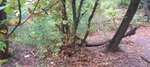 log-image-1783774152028-1