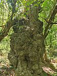 IMG_20260730_133242
