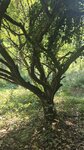 log-image-1784549908140-0