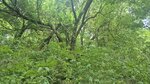 log-image-1784551093149-0