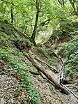 IMG_20260713_122917
