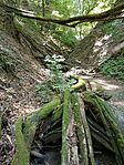 IMG_20260713_123303
