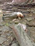 log-image-1784474532814-0