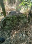 log-image-1783261405911-0