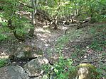 20260701_090919