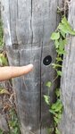 log-image-1785271562470-2