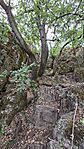 20260707_182140-OK
