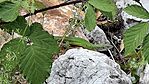 20260711_124356-OK