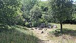 20260712_141206-OK
