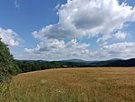 IMG_20260713_102557.jpg