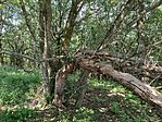 IMG_20260713_103311.jpg