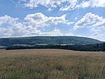 IMG_20260713_104048.jpg