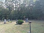 IMG_20260724_102809.jpg