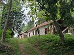 IMG_20260724_113808.jpg