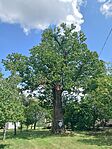 IMG_20260724_135737.jpg