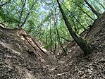 IMG_20260728_134611.jpg