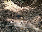 IMG_20260728_135012.jpg